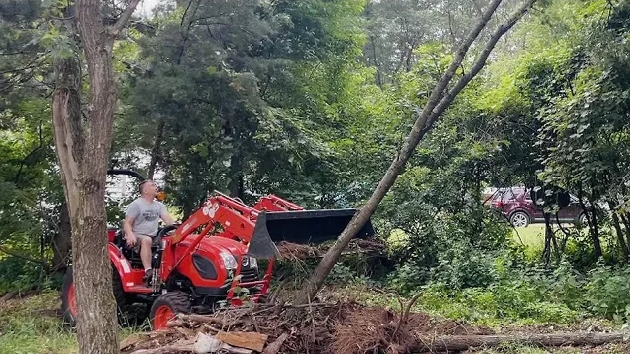 Final Clean Up - Above & Beyond Expectations