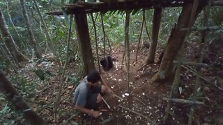 solo survival __ membangun shelter, masak, makan,eksplor, dan tidur nyenyak di hutan _22