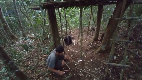 solo survival __ membangun shelter, masak, makan,eksplor, dan tidur nyenyak di hutan _22