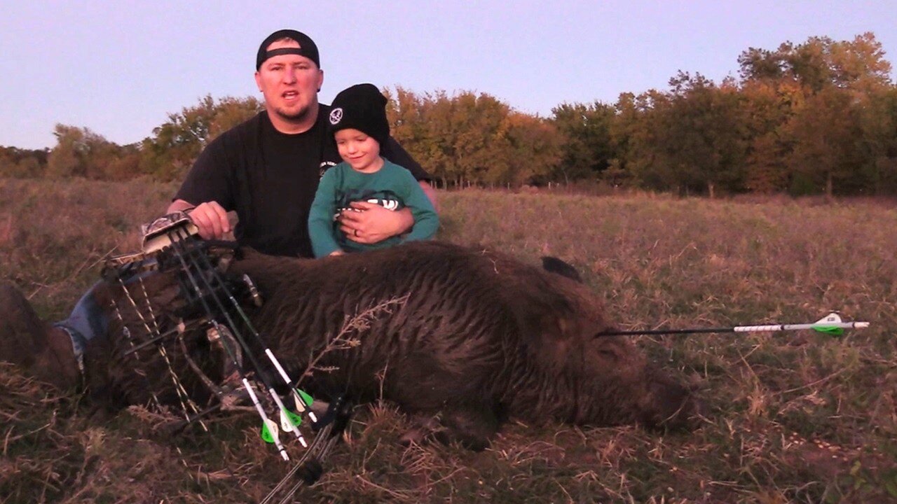 WILD BOAR WITH BOW AND ARROW!! HEADSHOT!