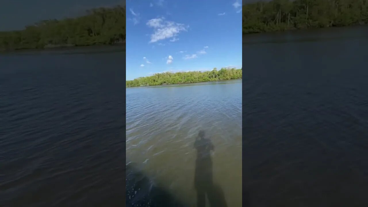 Trolling for fish!