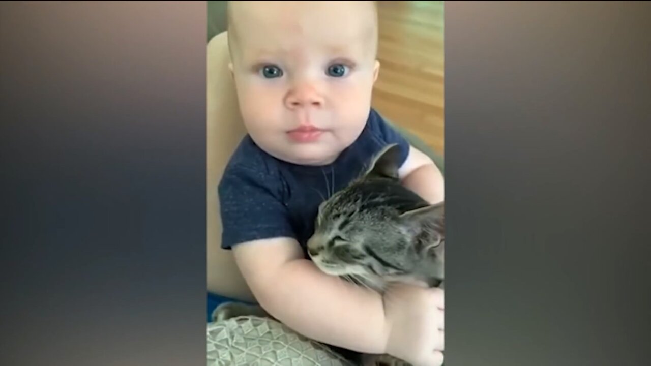 Funny Cats And Babies Playing Together | Animals Trolling Babies