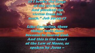 Daily Bible Verse Commentary - Acts 10:35
