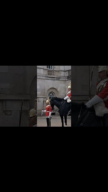inspection kings life guards #horseguardsparade