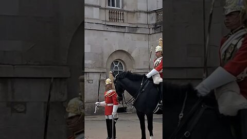 inspection kings life guards #horseguardsparade