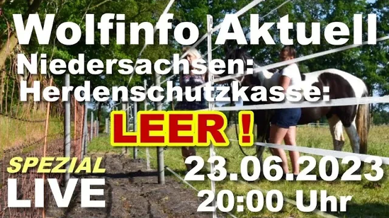 Wolfinfo Aktuell Interview LIVE 16 ( Niedersachsen: Herdenschutzkasse Leer! )