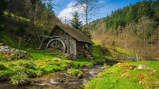 Top 10 Black Forest Traditions