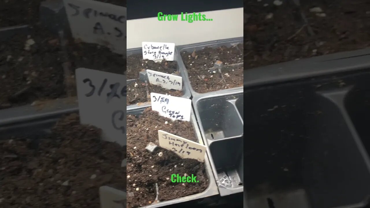 Grow Lights, check