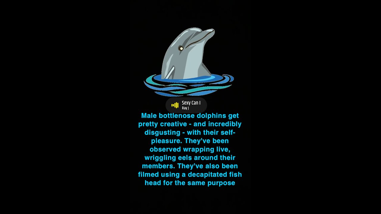 Did You Know!?