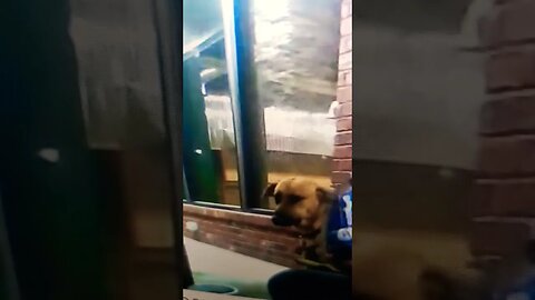 Tony Pizza Leon Won't Eat Scolding Hot Food