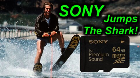 EEVblog #719 - Sony Low Noise Audiophile SDXC Memory Card