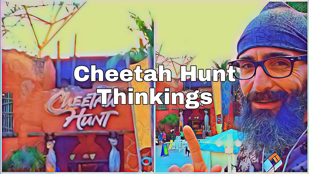 What I think of Cheetah Hunt