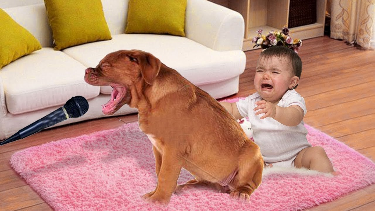 The Cute Baby Stops Crying When Dog Starts Singing