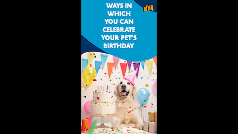 Top 4 Ways To Celebrate Your Pets Birthday