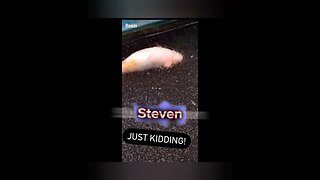 Steven 😂😂😂#yta #shorts #short #shortvideo #shortsvideo #shortsfeed #subscribe