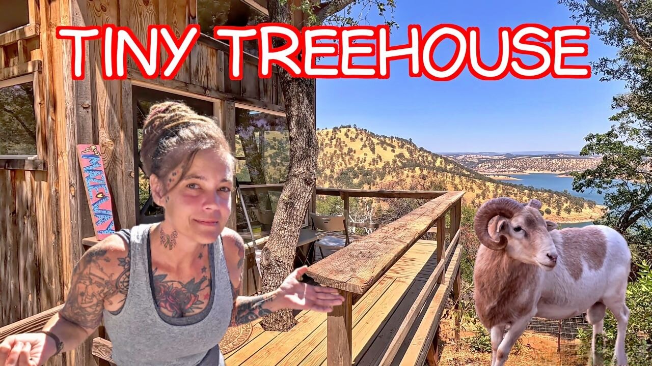 I Stayed In An Offgrid Treehouse With Farm Animals