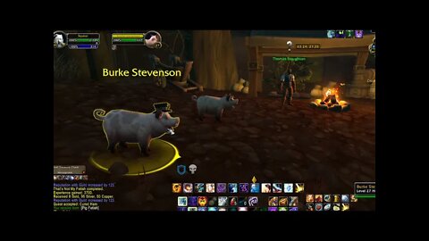 Moomha! Here's some of the cute pets in WOW