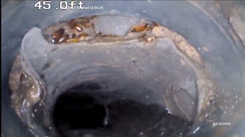 Sewer camera finds collapsed Orangeburg and corroded pipes on a 60 year old home in Mesa, Arizona