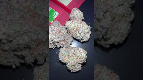 GTR Thai Truffles Flower!