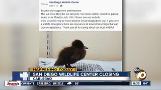 San Diego Wildlife Center closing its doors for good