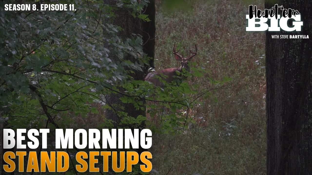 Morning Deer Stand Access: How to Get in Undetected
