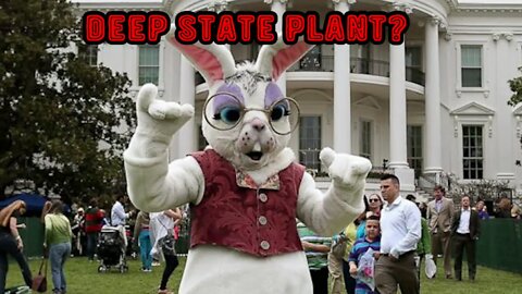 Deep State Bunny!