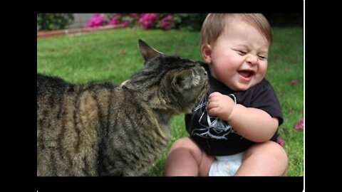 Funny Babies Laughing Hysterically at Cats Compilation