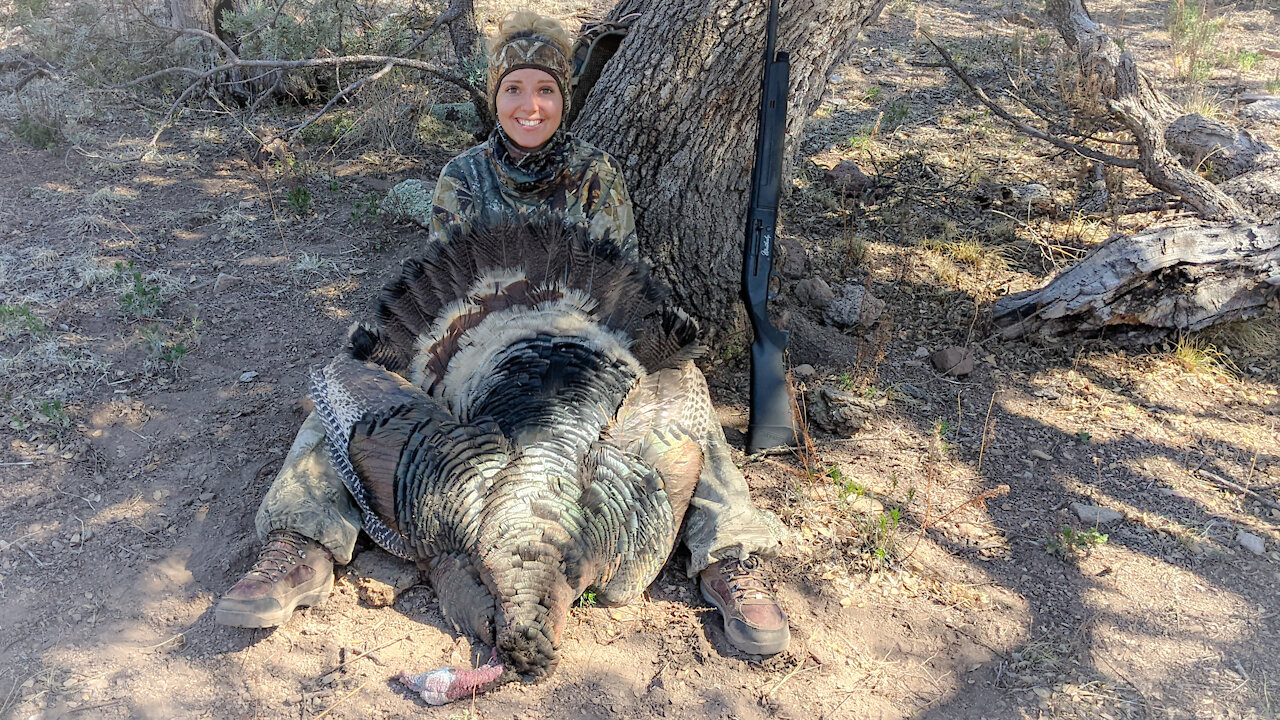 Arizona Merriam turkey catch clean and cook.