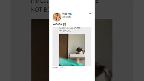 nope No Bonding 😂. #memes #reels #love #cat #instagram #tiktok #shorts
