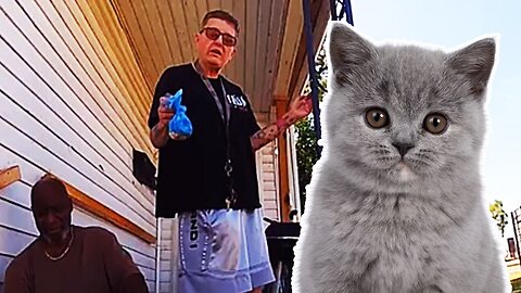 Springfield Woman Accuses Haitian Neighbors of Cooking Her CAT...