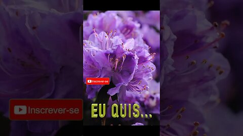 Poema "Enquanto quis Fortuna que tivesse" [Camões]