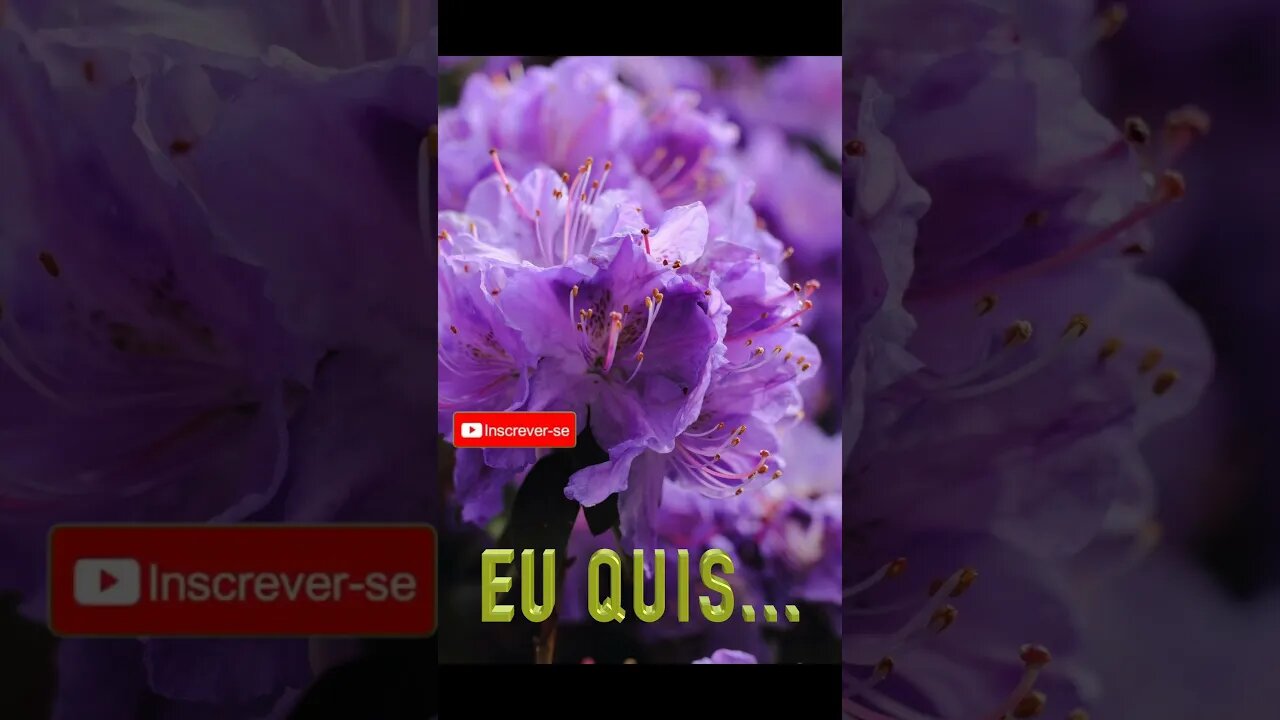 Poema "Enquanto quis Fortuna que tivesse" [Camões]