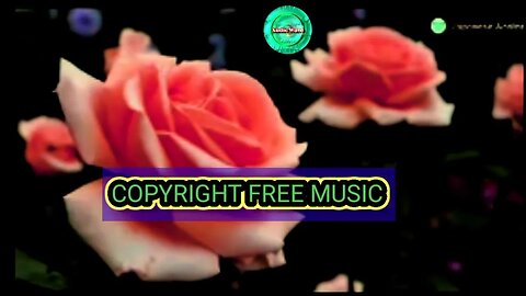 Best royalty free harmonium background indian instrumental music for content creation