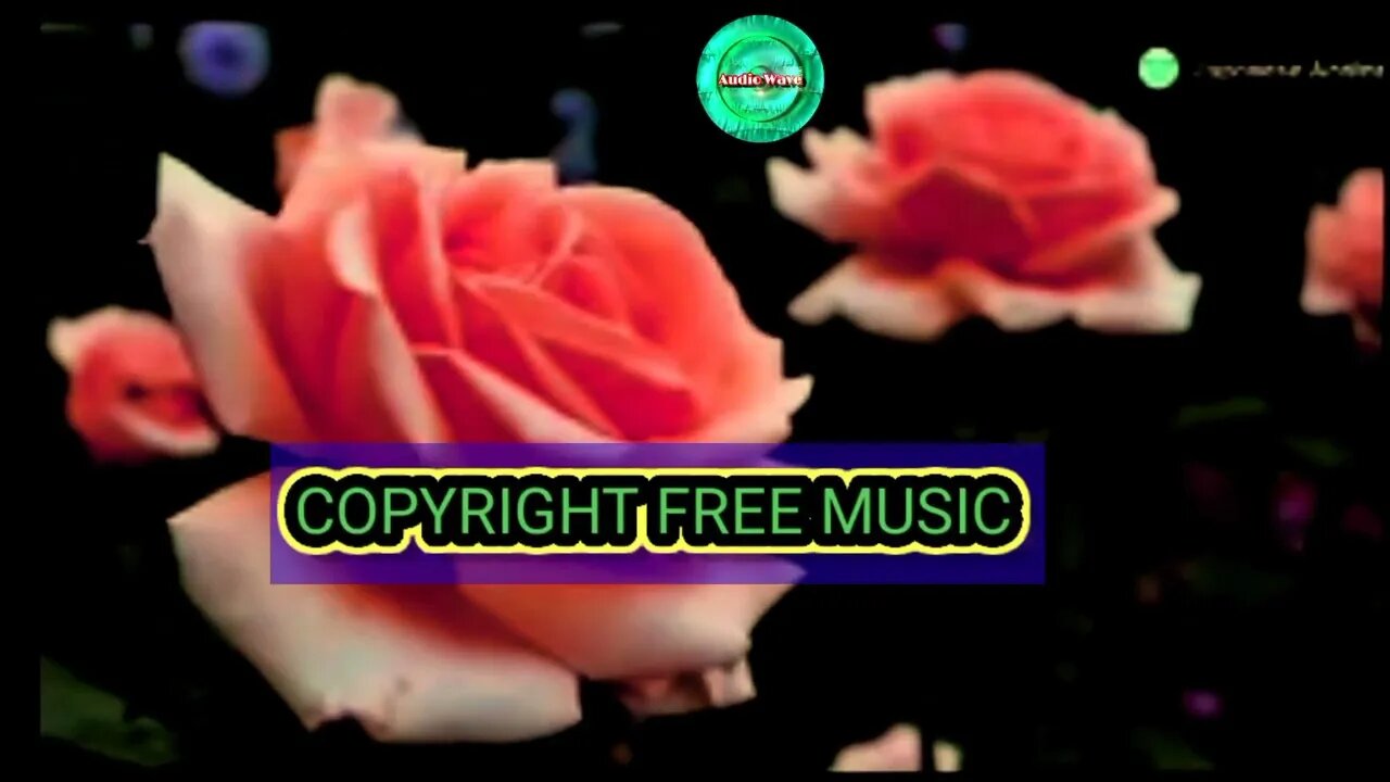 Best royalty free harmonium background indian instrumental music for content creation