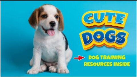 Cute Dogs and Puppies | Smart Dogs Video Compilation