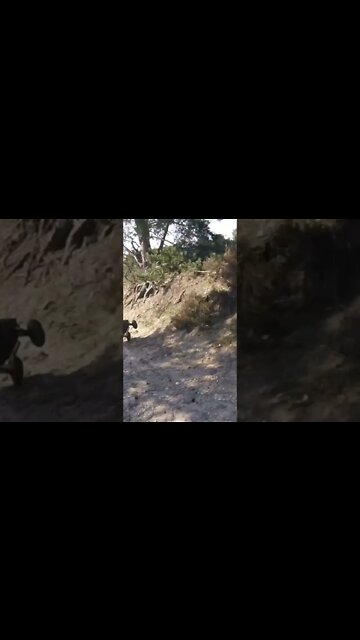 fireteam goes bezerk