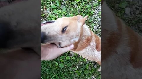 Adorable!