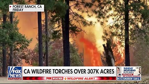California Wildfire Becomes 12th Largest In State History