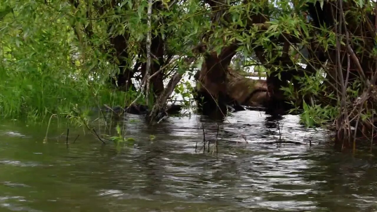 Water Willamette River From This Landscape