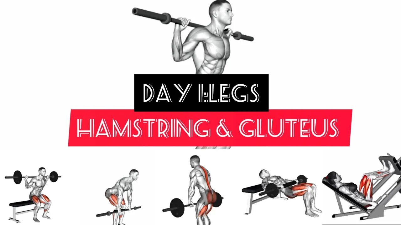 Day 1:Legs (Hamstring & gluteus)