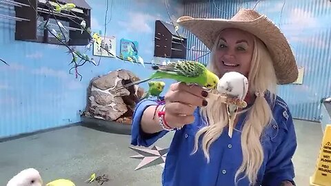 FEEDING HUGE ALLIGATORS AT GATORLAND!! SO MANY ALLIGATORS!-Lyssy Noel *Reuploaded*