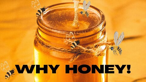 Impact Of Honey In Human Lives