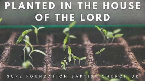 Planted In The House Of The LORD (Full Service) | SFBCUK |