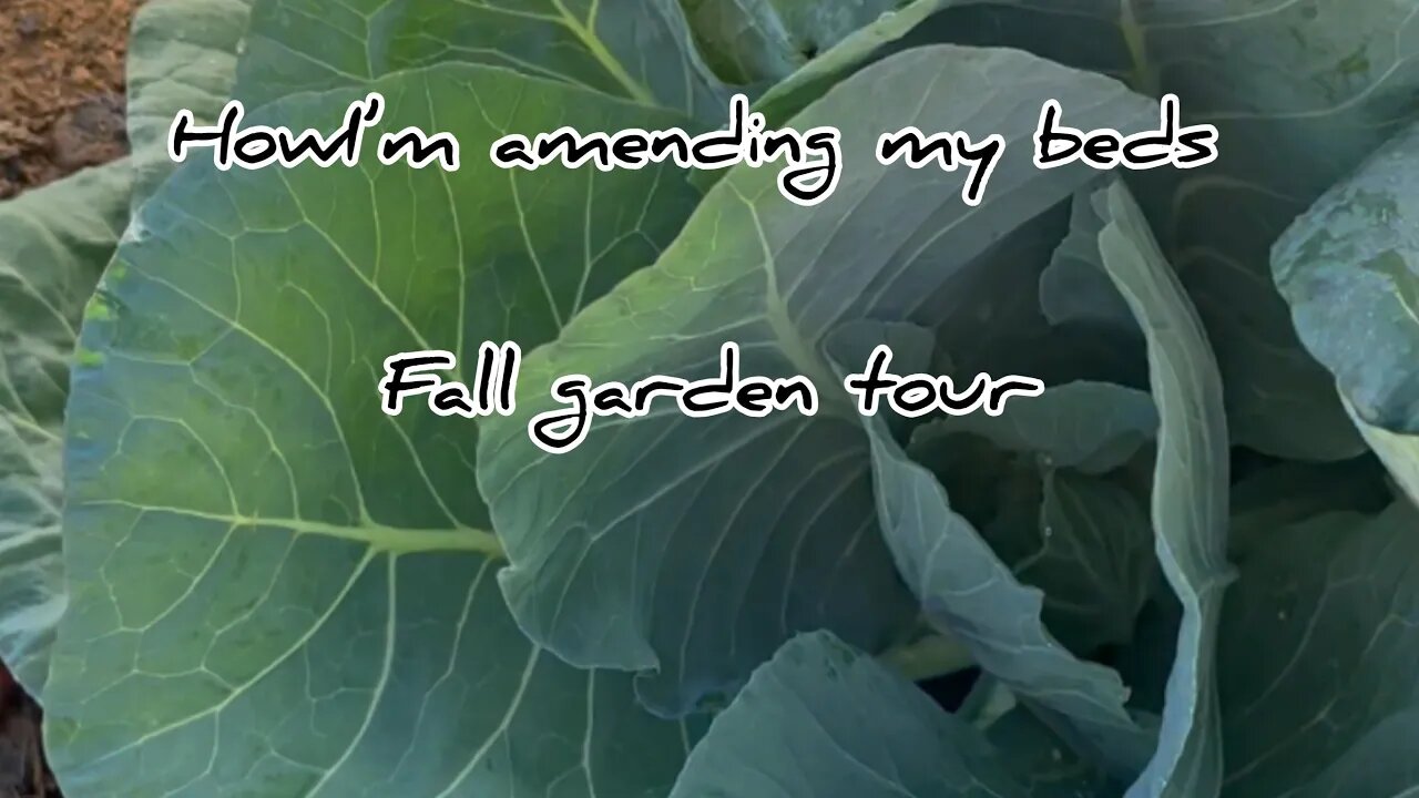 November 10th fall garden tour With some recommended amendments #Gardening