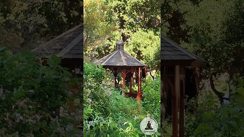 Serene Garden Gazebo with Soothing Bird Chirping and Piano Music #shorts #nature