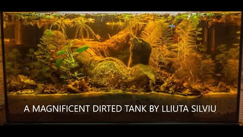 HOW MUCH DIRT IN A DIRTED SUBSTRATE?