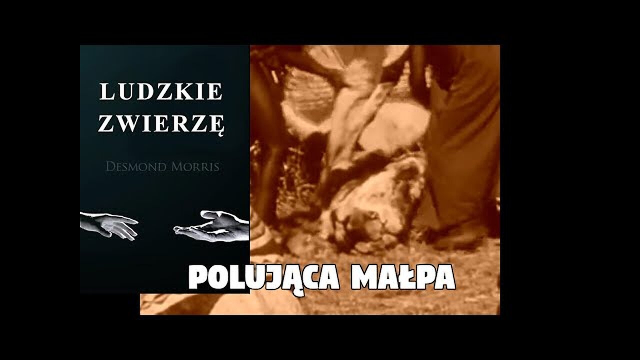 Ludzkie Zwierzę - Polująca małpa | Desmond Morris | cz. 2