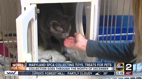 Maryland SPCA collecting toys and treats to fill the Presents for Pets sleigh