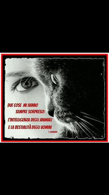 💉⚰️☠️NON CI VUOLE MOLTO A ESSERE PIU' INTELLIGENTE DI UN COVIDIOTA💉⚰️☠️