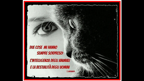💉⚰️☠️NON CI VUOLE MOLTO A ESSERE PIU' INTELLIGENTE DI UN COVIDIOTA💉⚰️☠️